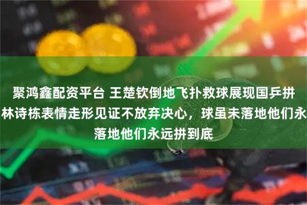 聚鸿鑫配资平台 王楚钦倒地飞扑救球展现国乒拼搏精神，林诗栋表情走形见证不放弃决心，球虽未落地他们永远拼到底