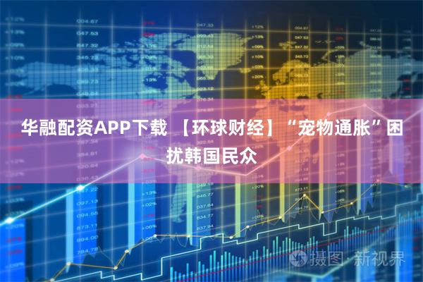 华融配资APP下载 【环球财经】“宠物通胀”困扰韩国民众